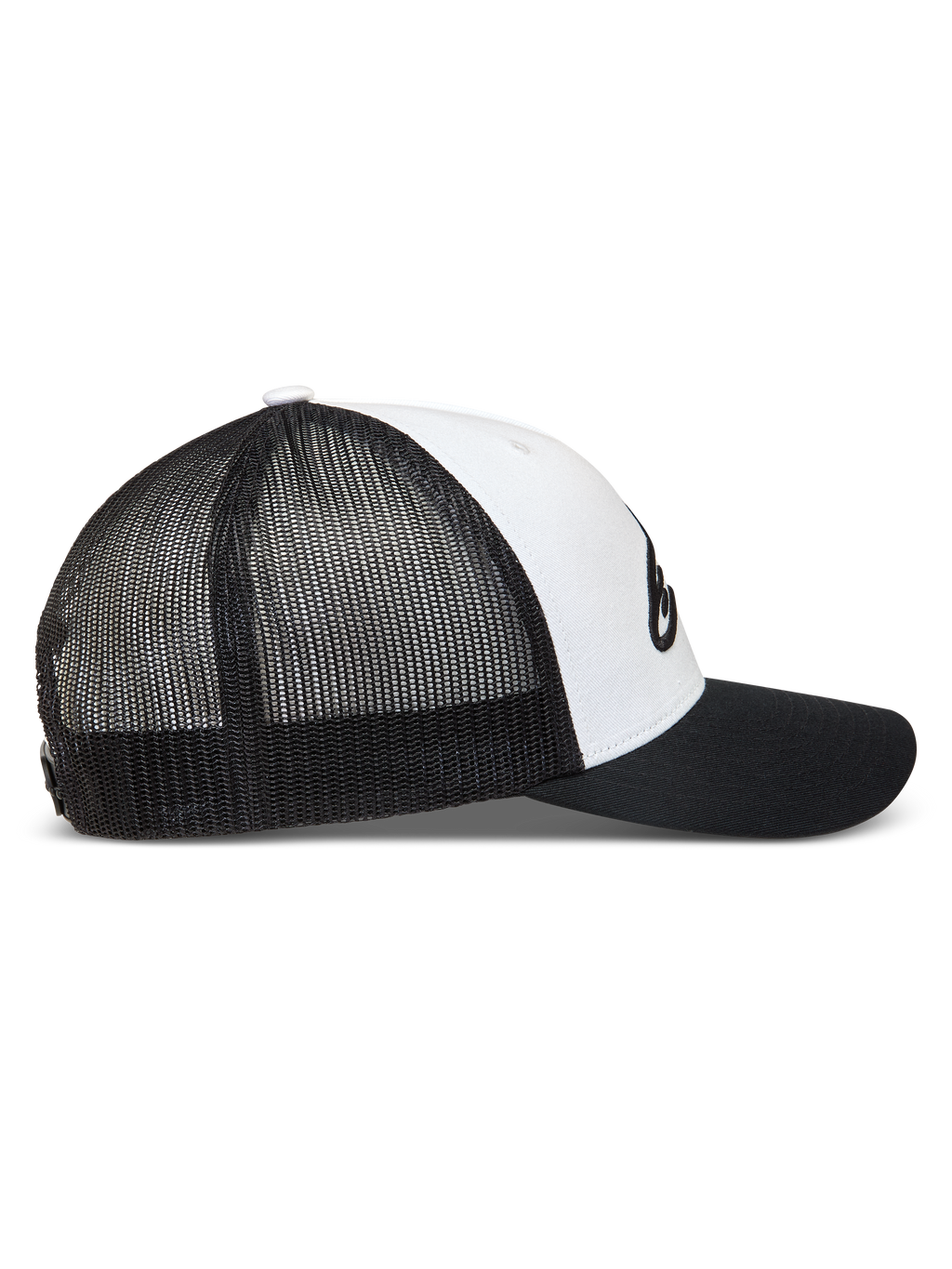 Ageless Snapback Hat