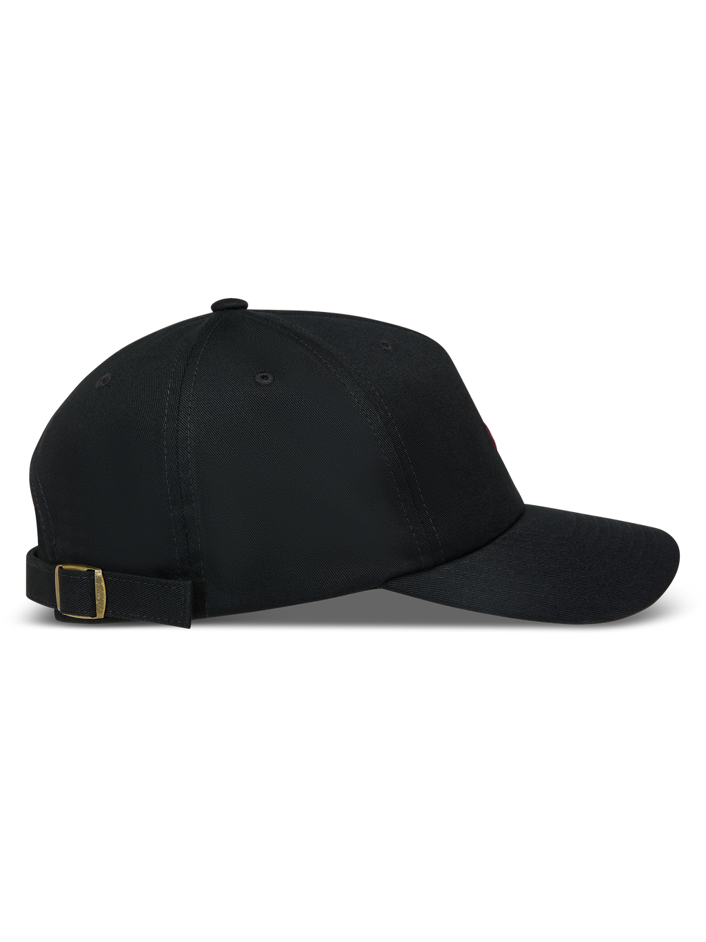 Explorer Strapback Hat