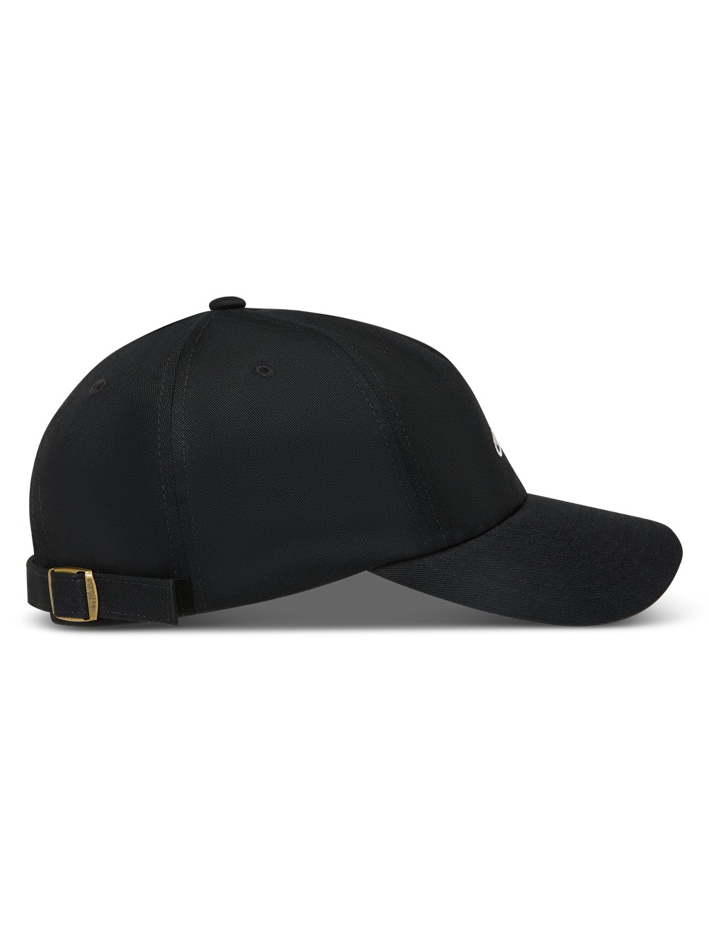 Dylan Dad Hat