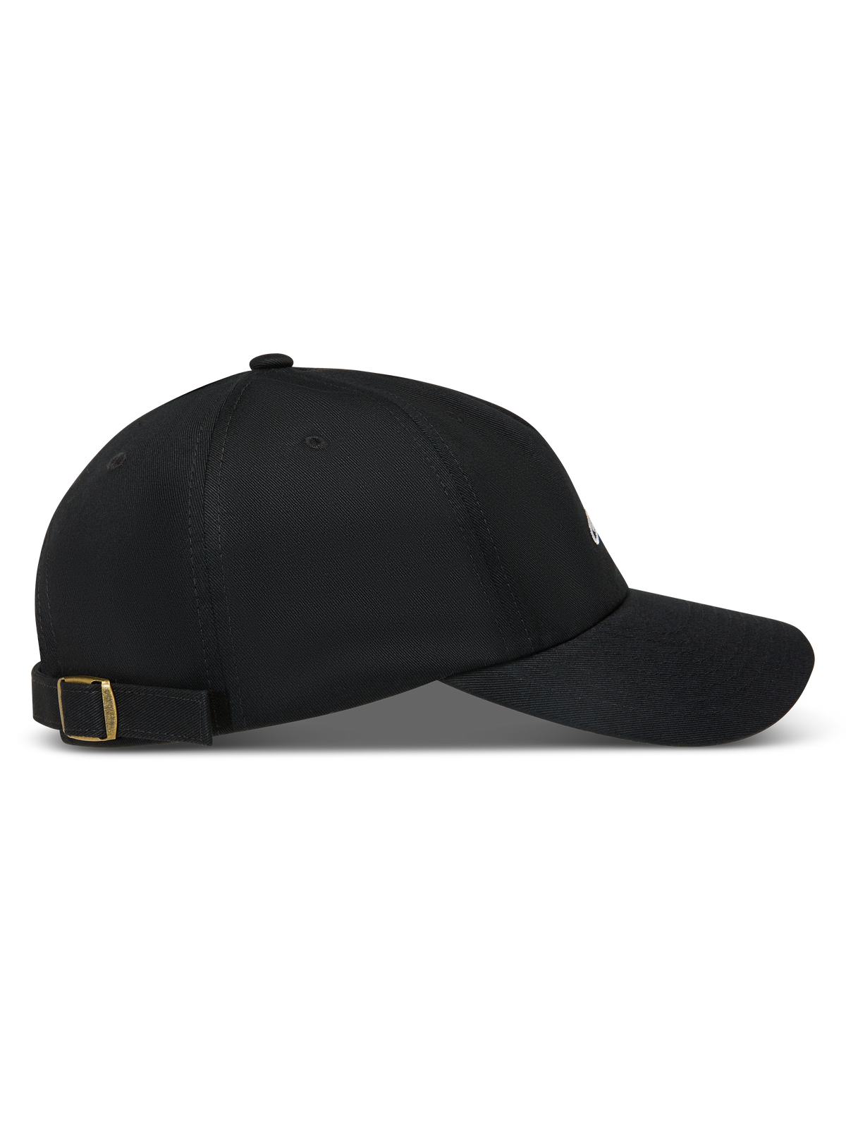 Dylan Dad Hat