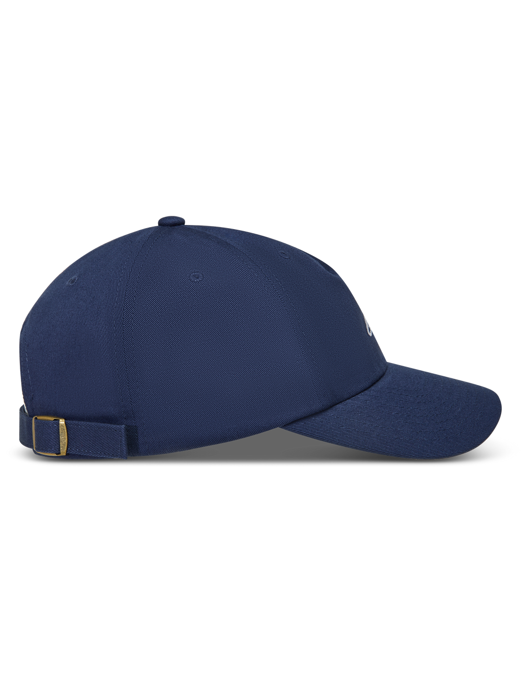 Dylan Dad Hat