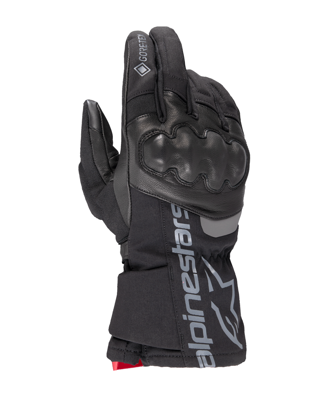 WT-4 GORE-TEX Insulated Glove